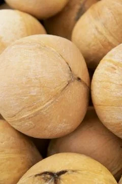 Skinned coconut Stock Photos