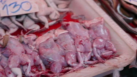 Skinned frog, eel and alive fish fresh for cooking in Thai seafood market Stock Footage 205453659