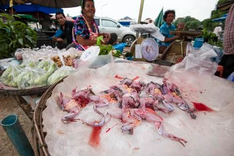 Skinned frogs 스톡 사진