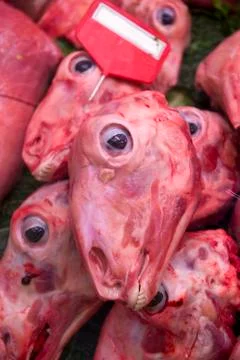 Skinned sheeps head Stock Photos