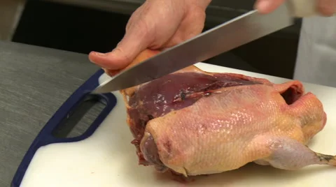 Skinning duck HD Stock Footage 5978271