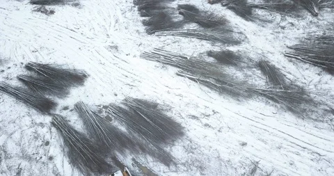 Skipper tractor in field moving cut down trees - winter day - aerial tilt dow Stock Footage 100141803
