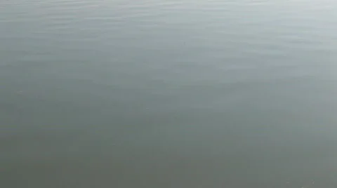 Skipping Rocks Vidéo 736495