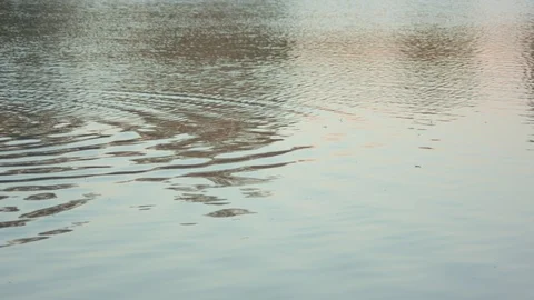 Skipping Rocks in a Pond Stock Footage 90189140