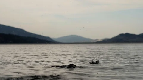 Skipping stone in slow motion Stock Footage 104227598