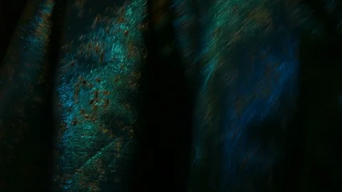 Skirt In Closeup While Dancing Stock Footage 96466837