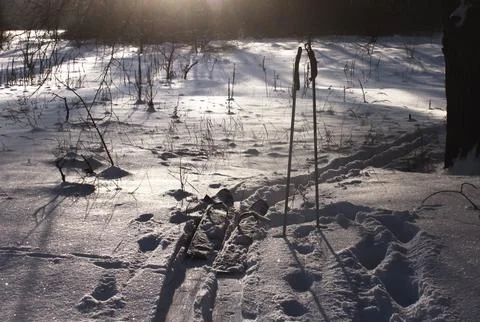 Skis on snow in backlight Foto stock