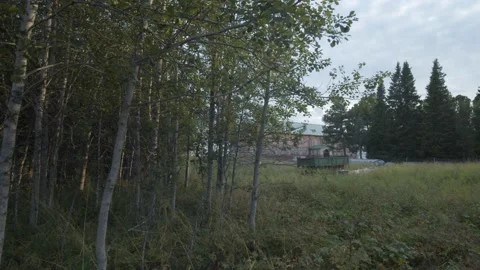 Skit on Solovki Stock Footage 149958717