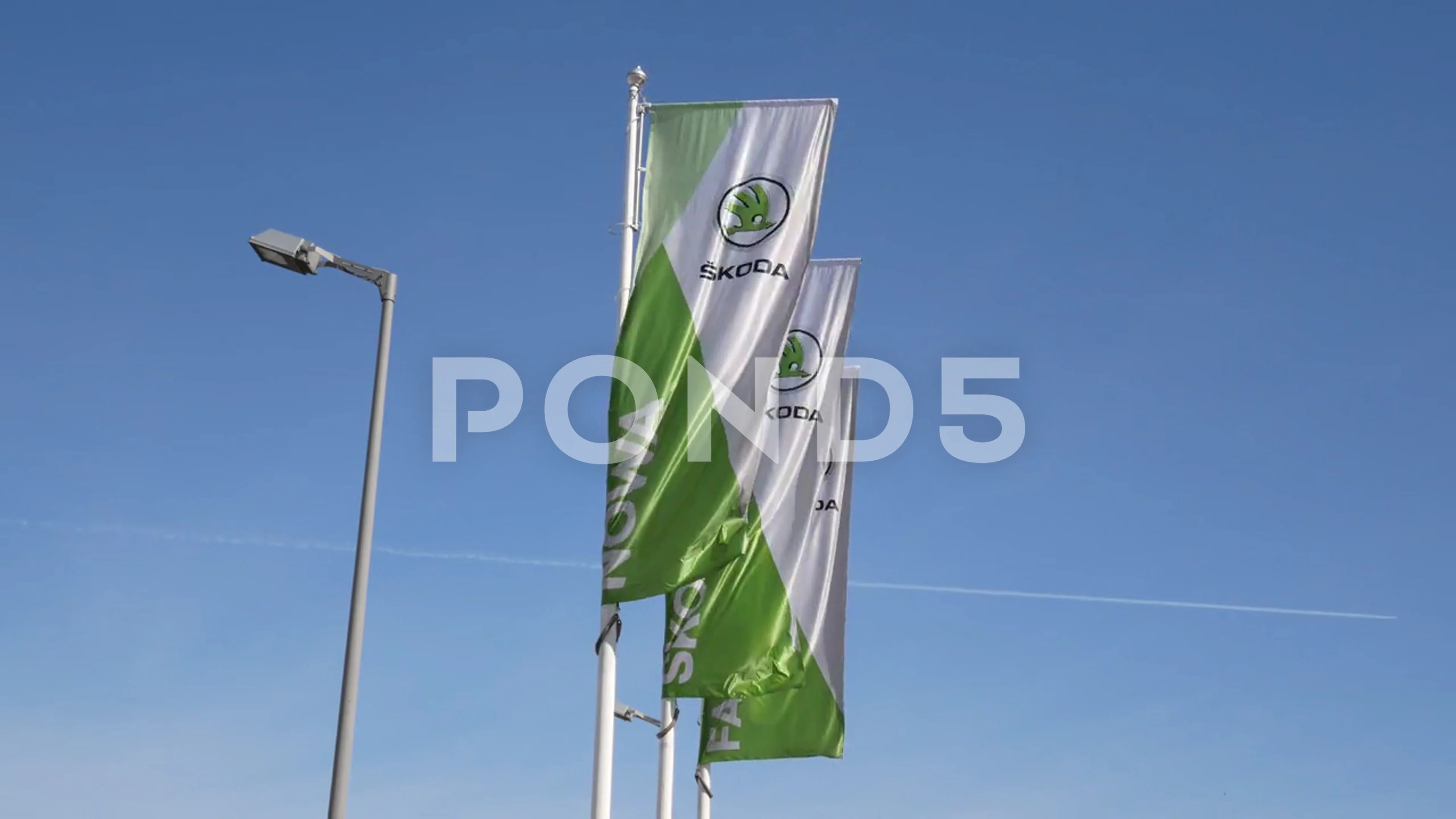 Waving Flag Estee Lauder Companies Logo Stock Footage Video (100%  Royalty-free) 27535525