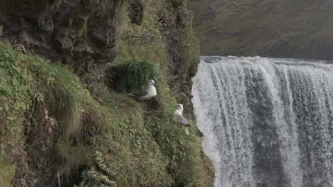 SKOGAFOSS WATERFALL Stock-Footage 328151985