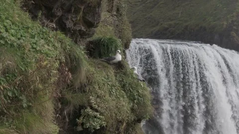 SKOGAFOSS WATERFALL Video stock 328152010
