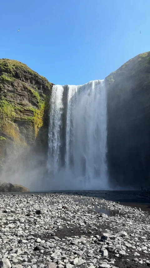 Skogafoss waterfall with powerful cascade and rainbow in the spray, South Icelan Stock Footage 331560593