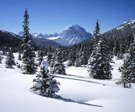 Skoki Lodge X-C ski Trail, Banff-Jasper National Park, Alberta, Canada Stock Photos