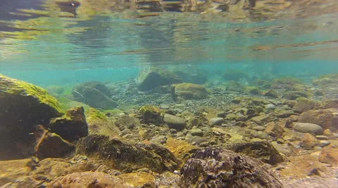 Skokomish River Underwater Stock Footage 67258223
