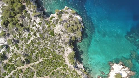 Skopelos Amarantos Coast Drone Forward Top Down Pine Trees Stock Footage 336914895