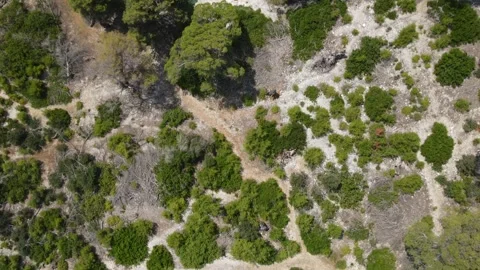 Skopelos Amarantos Passage Drone Forward Top Down Stock Footage 336914778