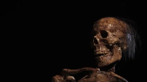 Skull 01 Stock Footage 269010447