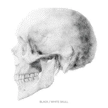 Skull 01 Stock Illustration