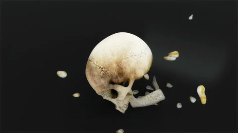 Skull 03 Stock Footage 32177671