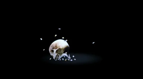 Skull 04 Stock Footage 32188337