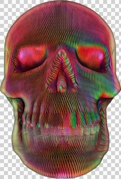 Skull 1 イラスト素材