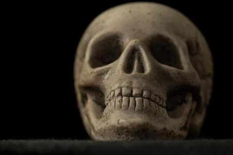Skull 1 Stock Photos