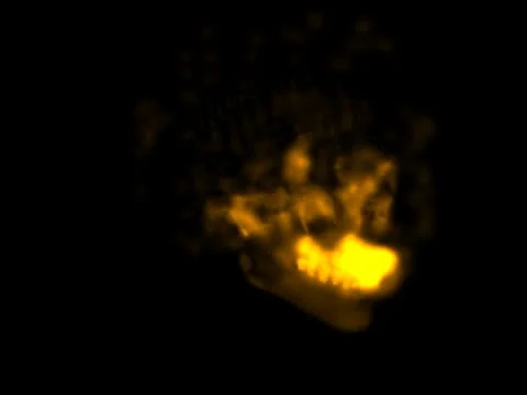 Skull-10001 0250 Stock Footage 10686854