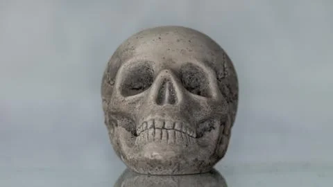 Skull 2 Stock Photos