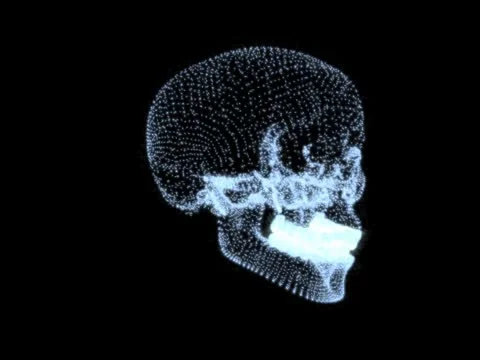 Skull-20001 0250 Stock Footage 10686998