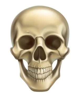 Skull. 3d realistic vector icon Stock Illustration
