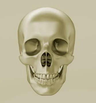 Skull, 3d render Stock Illustration