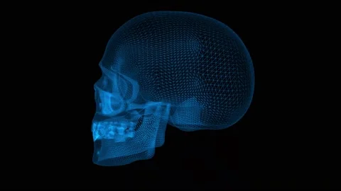 Skull 3d wireframe with thin blue lines. Anatomical futuristic hologram on black Stock Footage 139876351