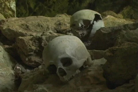 Skull 4 Stock Footage