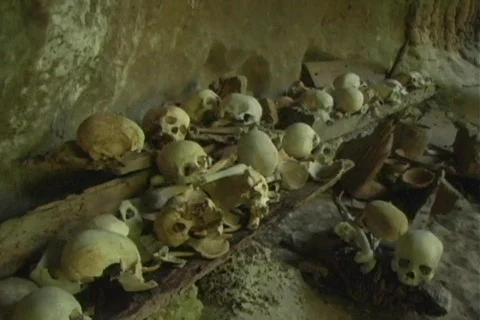 Skull 7 Stock Footage 111858