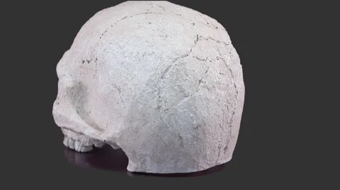 Skull of an Alpha channel Vídeo Stock 61863497