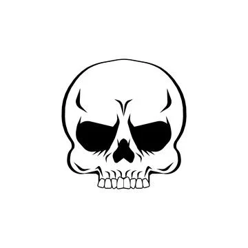 Skull Anatomical isolated. Skeleton head. Vector illustration Stock Illustration