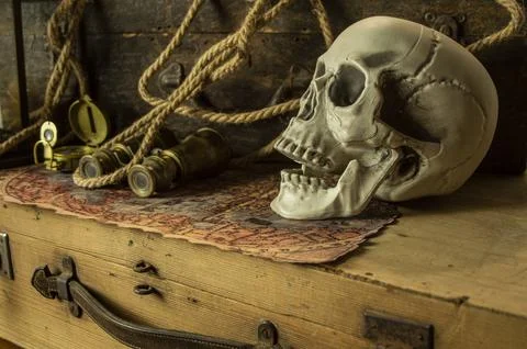 Skull and adventure objects for exploration. Stock Photos