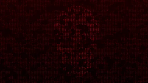 Skull And Bones Cyber Security Video Animated Background Stock Footage 348263015