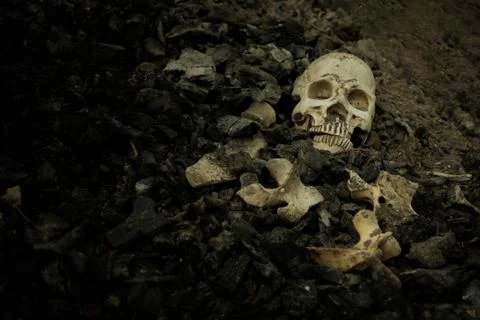 Skull and bones digged from pit in the scary graveyard which has dim light Stock Photos