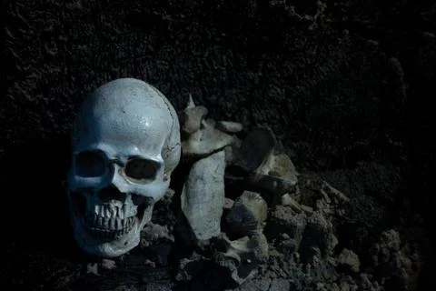 Skull and bones digged from pit in the scary graveyard which has dim light Stock Photos