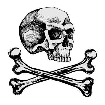Skull and Bones Stock Illustration