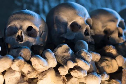 Skull and bones Stock Photos