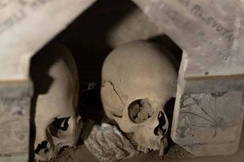 Skull and bones Stock Photos