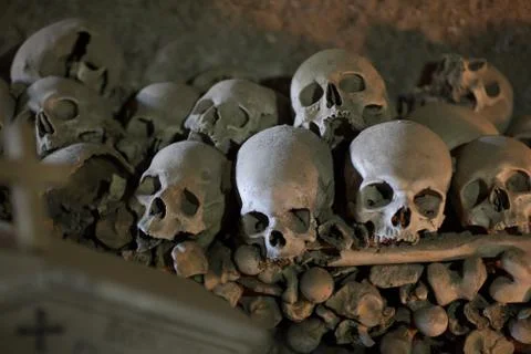 Skull and bones Stock Photos