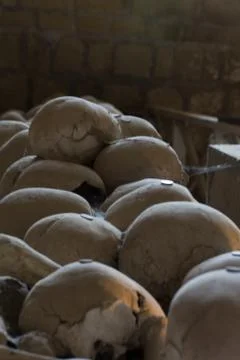 Skull and bones Foto stock