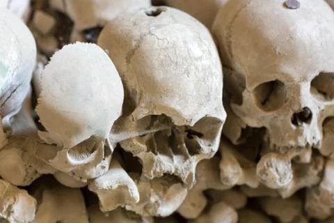 Skull and bones Foto stock