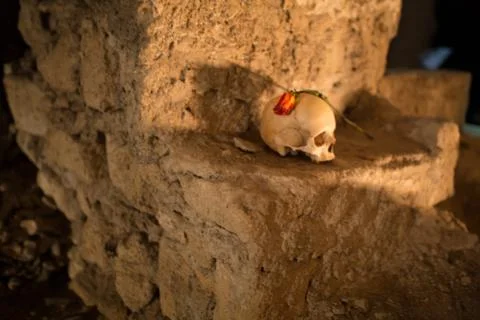 Skull and bones Foto stock