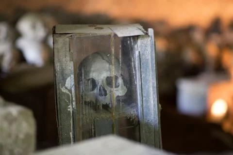 Skull and bones Stock Photos