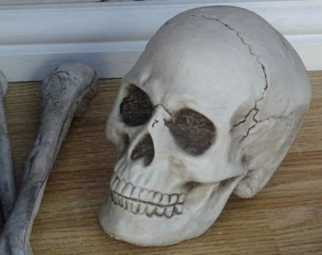 Skull And Bones Stock Photos