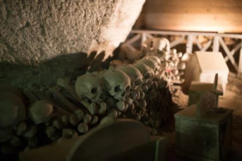 Skull and bones Stock Photos
